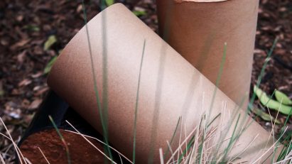cardboard rammed earth