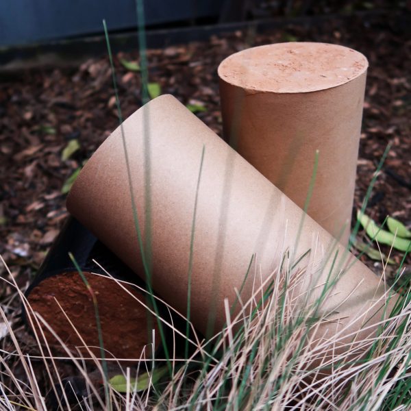 cardboard rammed earth