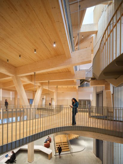 Elevated walkways at Rubenstein Treehouse