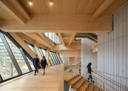 Mass-timber beams at Rubenstein Treehouse