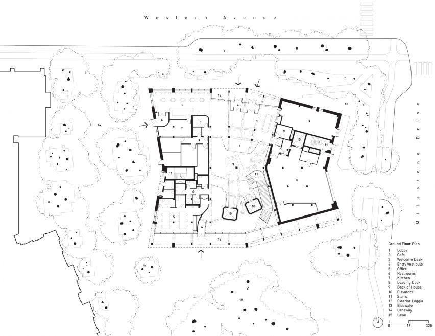 Rubenstein Treehouse Harvard