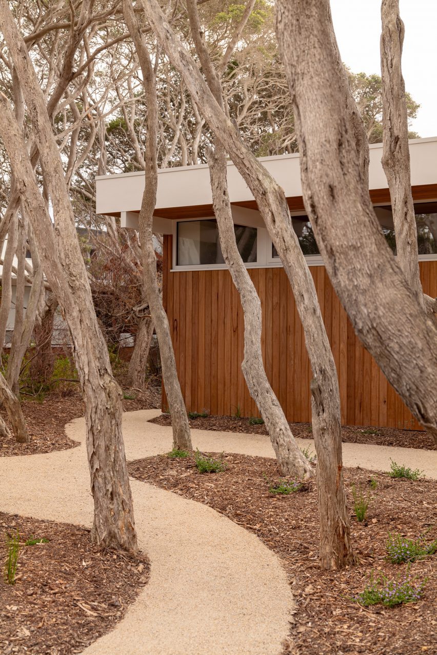 Pathway with trees leading to wood clad structure