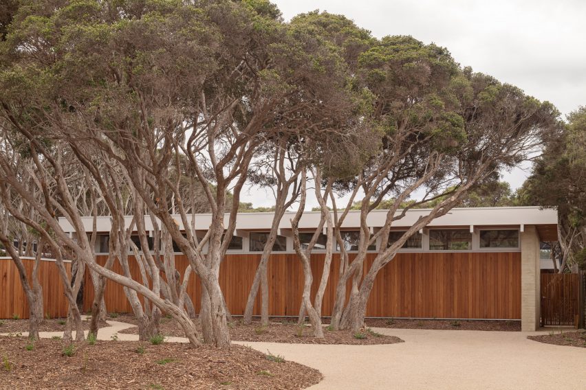 Cluster of trees outside house