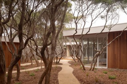 MGAO mid-century house renovation amidst trees