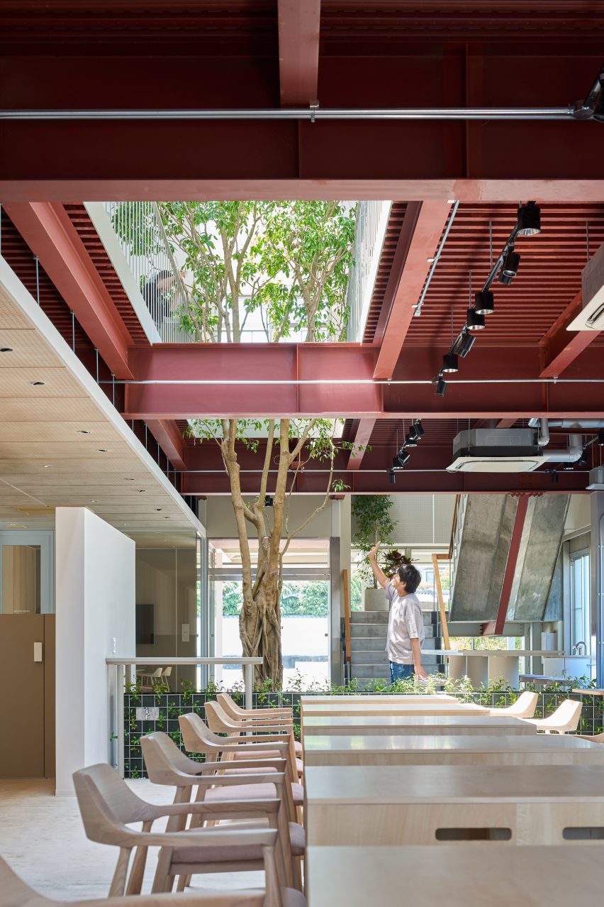 Tree growing inside office space