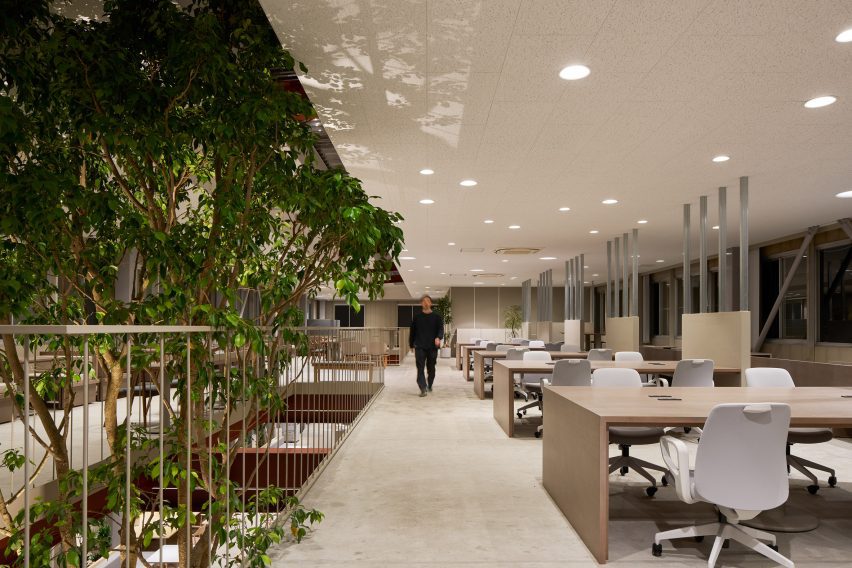 Second floor office space with tree