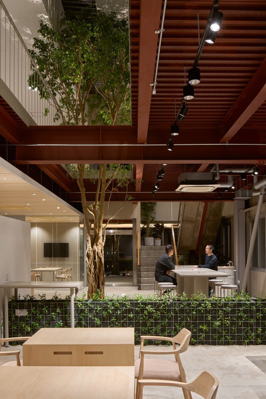 Office space with plants inside