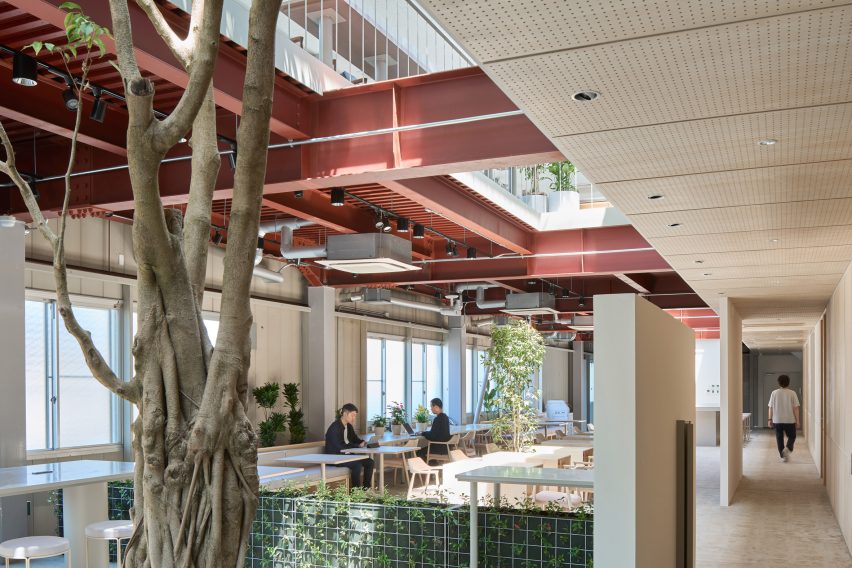Tree growing in middle of office Japan