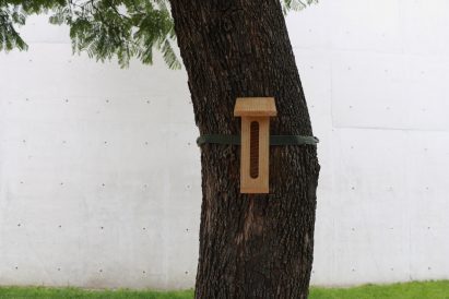 a photograph of a wooden birdbox on a tree