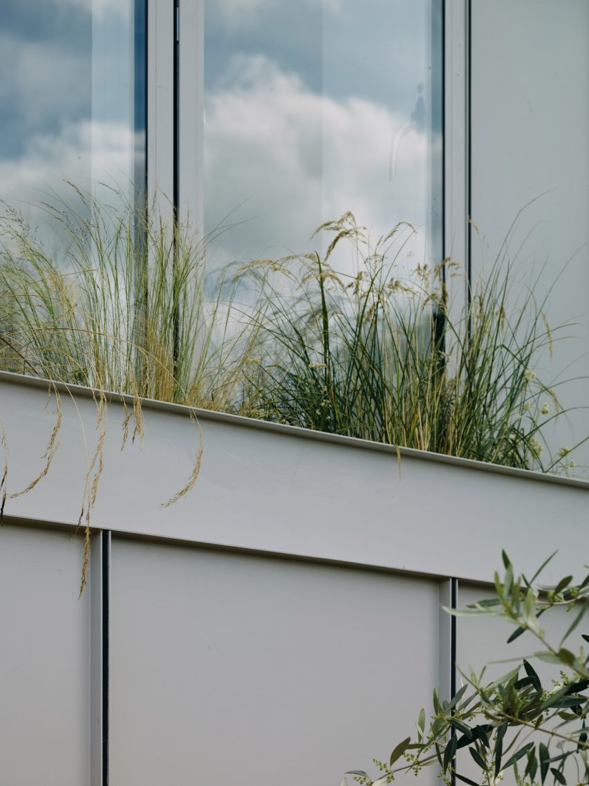 Planting boxes in Stone and Steel House extension by DGN Studio and Sarah Izod