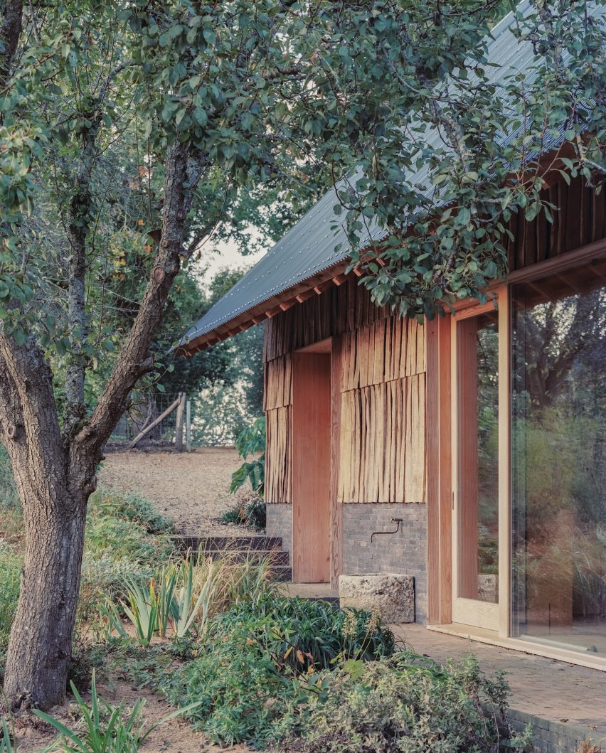 The Apple House by Okra