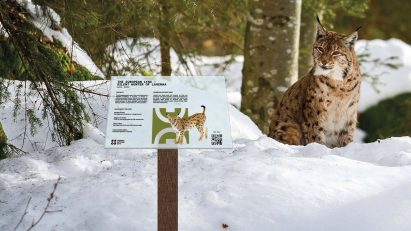 Lahemaa National Park Rebrand by Luisa Sharyln Butovtsenko