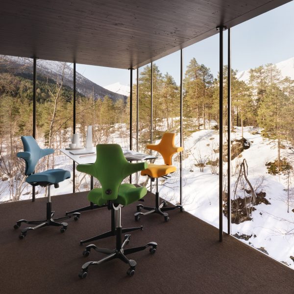 HÅG Capisco task chair by Peter Opsvik for Flokk