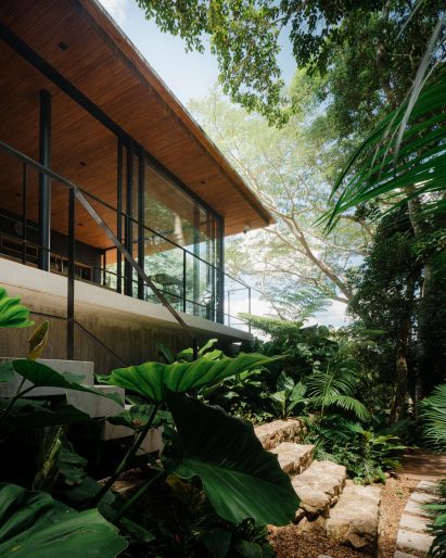 Concrete house with a wood-lined roof surrounded by forest