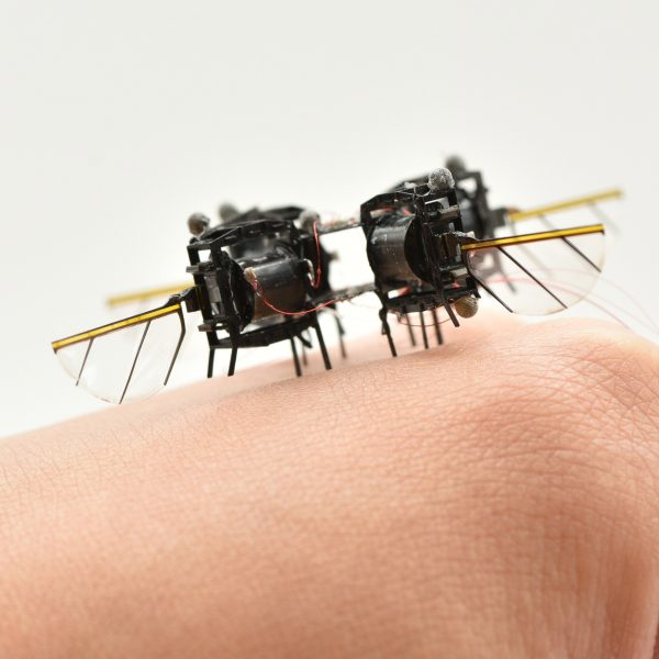 Bee-size robot