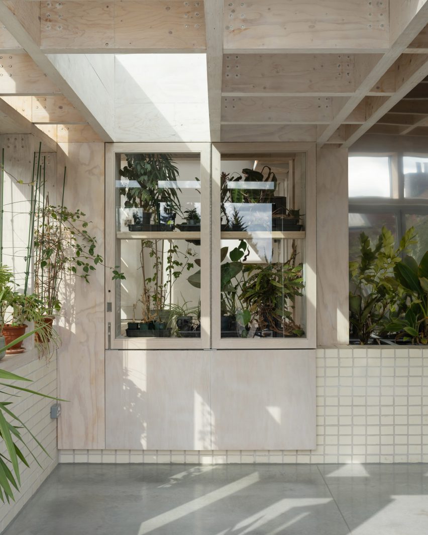 Greenhouse cabinet in Tabberner Cook House by James Alder Architects