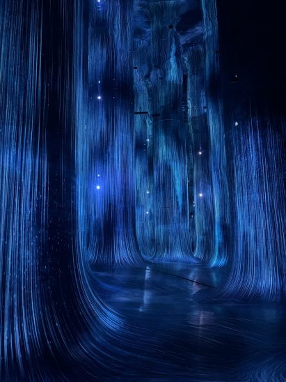 TeamLab artwork