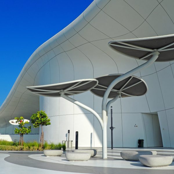 Team Lab Phenomena Abu Dhabi on Saadiyat Island