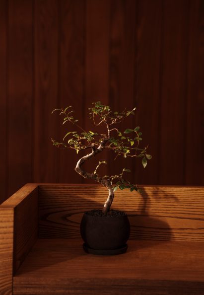 The space is heavily influenced by Japanese onsens and sentōs