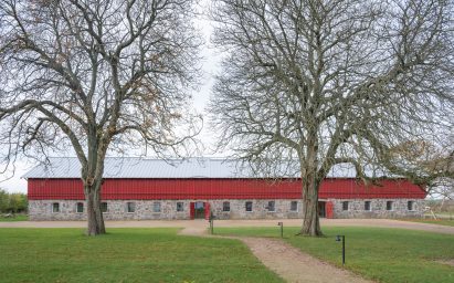 Trees in front of Michael Kvium's studio, a historic barn restored by architect Martin Schack