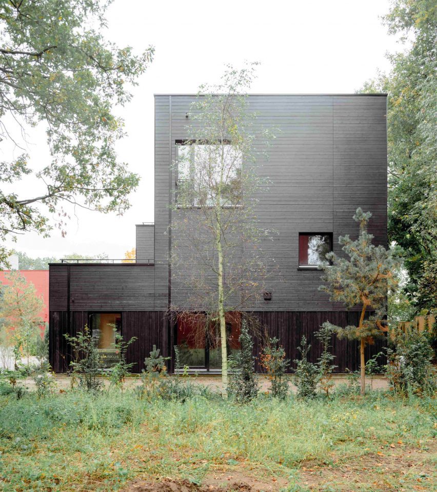 Common Woods by Space&Matter