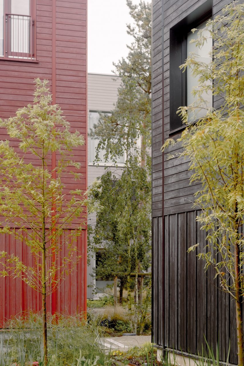 Common Woods by Space&Matter