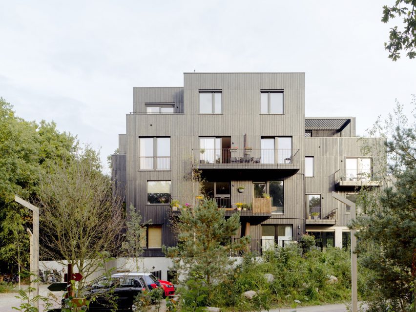 Common Woods by Space&Matter
