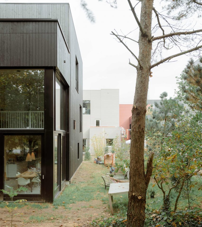 Common Woods by Space&Matter