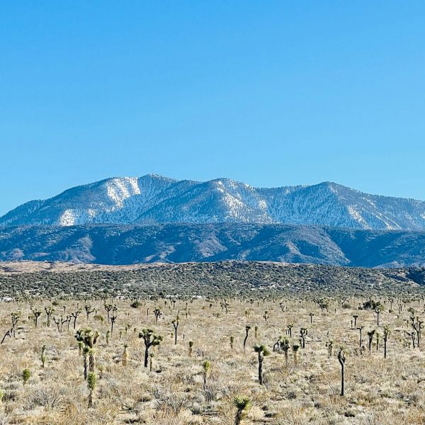 an image of a mountain against a blue sky