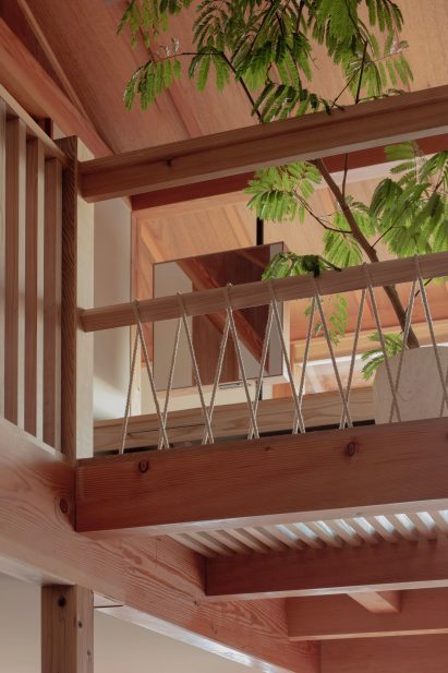Green plant in home with wooden floor