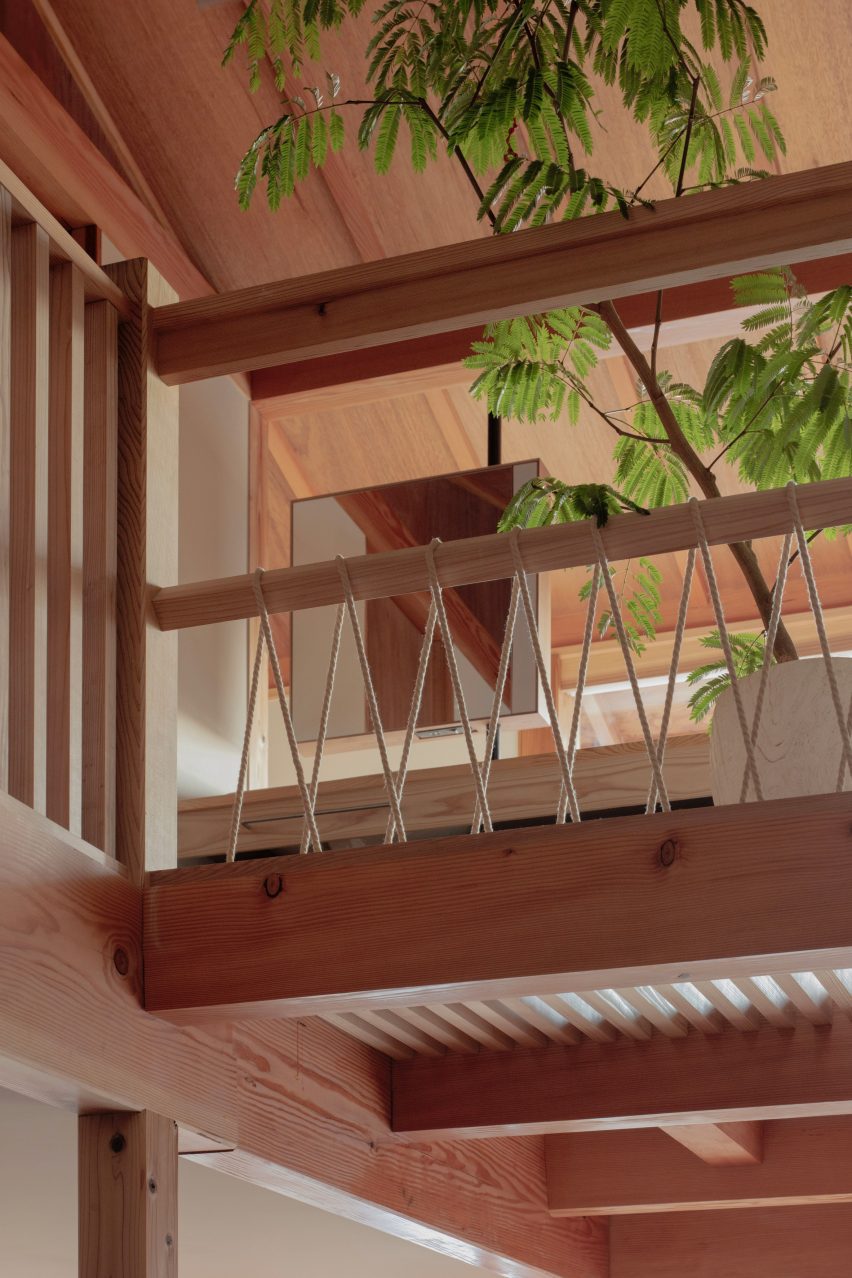 Green plant in home with wooden floor
