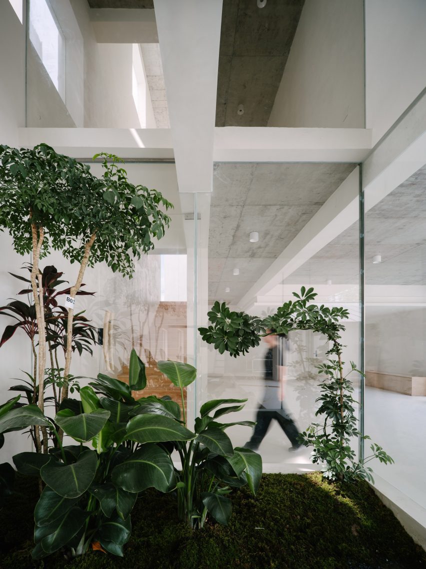Internal landscaping on ground floor of guesthouse