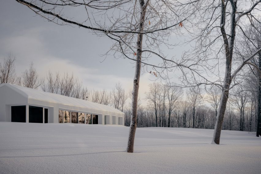 Timbertop House