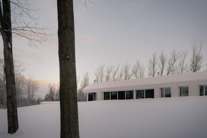 Timbertop House