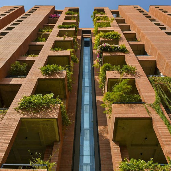 The Magic Faraway Tree by Shibanee & Kamal Architects in Bangalore