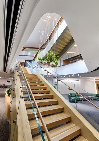 Wood staircase rising through a curved atrium