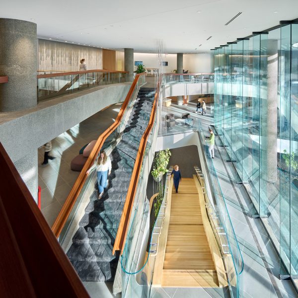 AIA Global Campus for Architecture & Design by EHDD