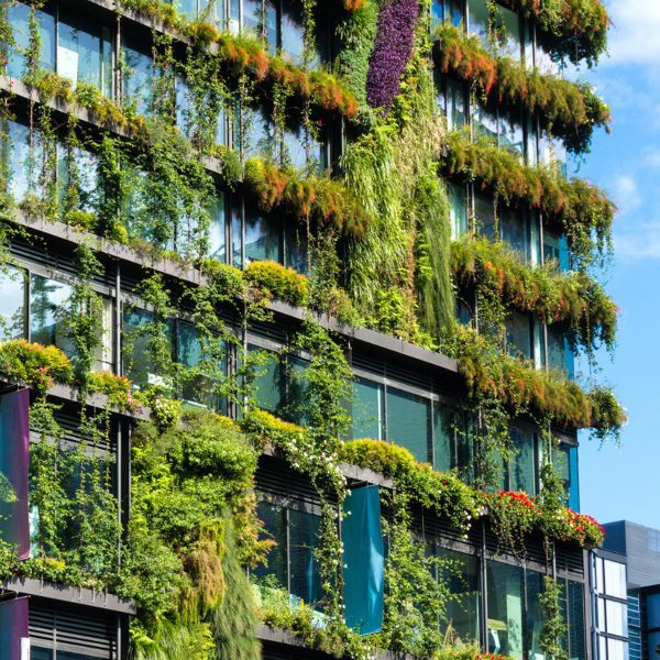 a building with green down on it