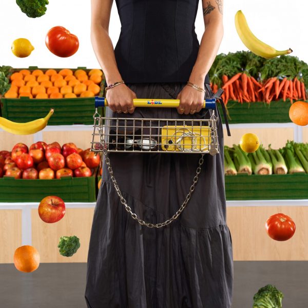 Lidl Trolley bag by Nik Bentel