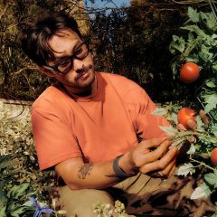 Photo of a man tending to his tomato patch while wearing the Meta Ray-Ban Display glasses and wristband