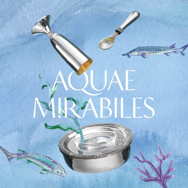 Ocean-themed graphic for Aquae Mirablies exhibition
