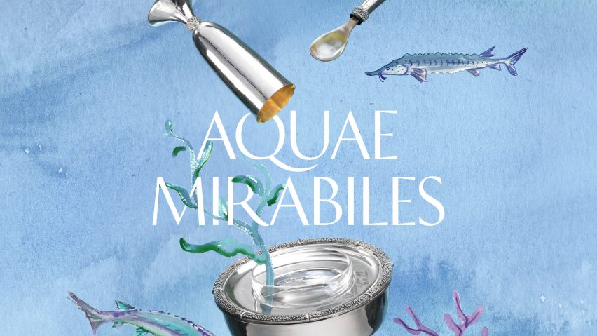 Ocean-themed graphic for Aquae Mirablies exhibition