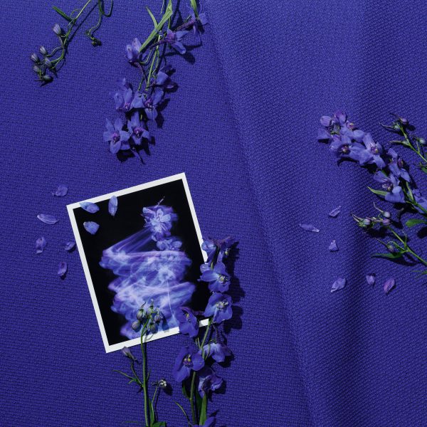 Photo of flowers and fabric