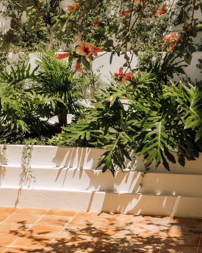 House of Green Patios AB+AC Architects