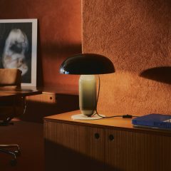 Dezeen Showroom New Releases newsletter includes sculptural lamp