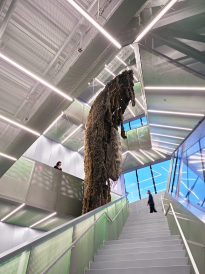New Museum extension