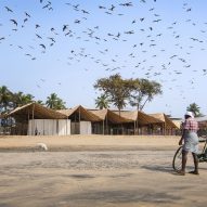 Man with bicycle watching flock of birds over German Pavilion at Kerala Literature Festival.