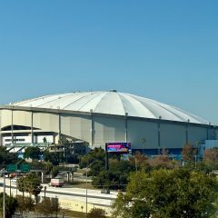 Tropicana stadium