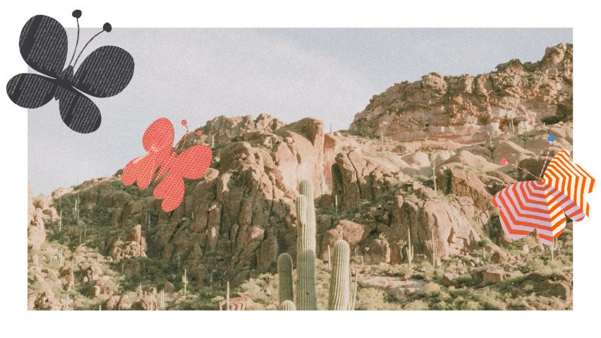 Photo of a cactus and mountains with cartoon-like butterfies on top