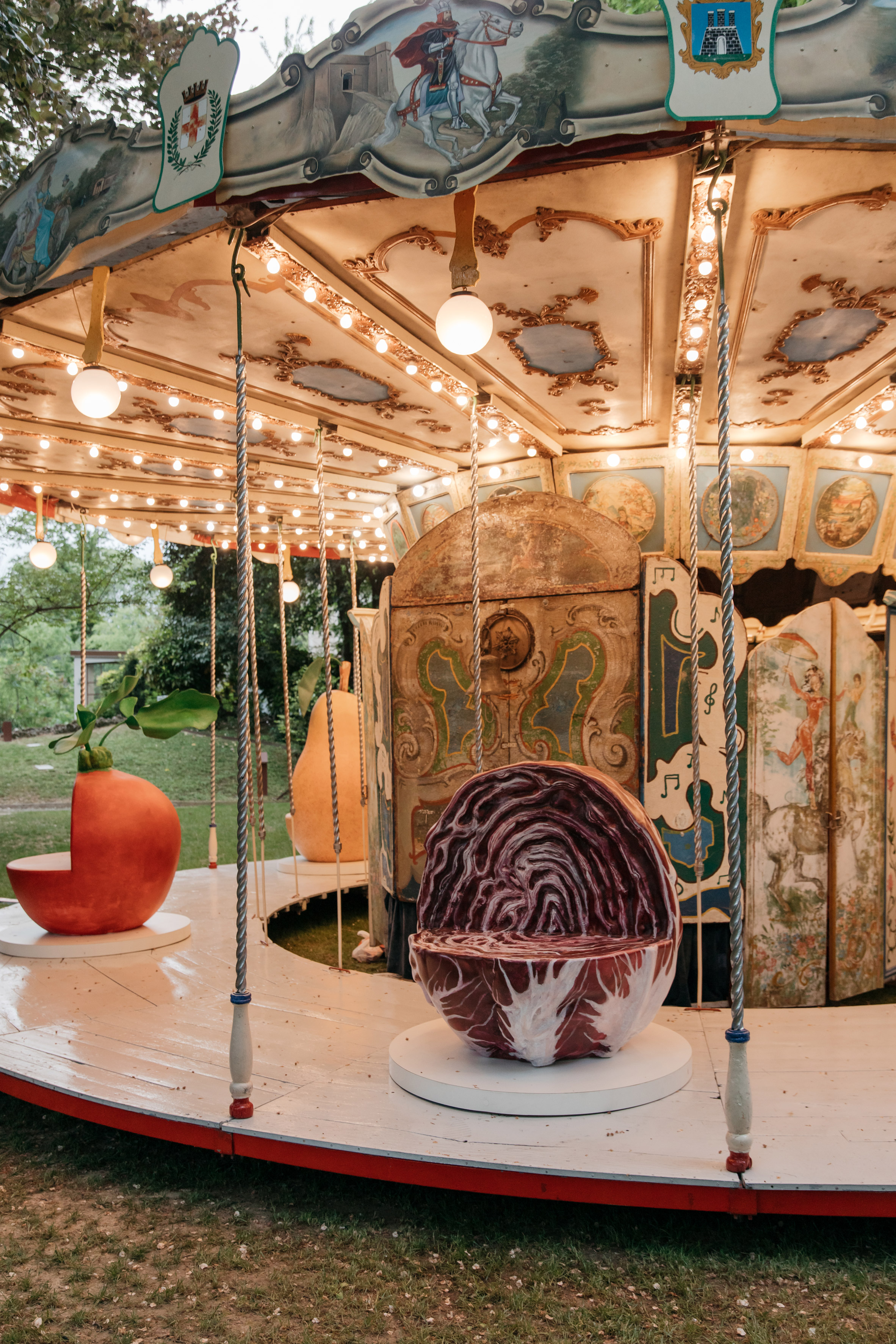 Cabbage merry-go-round